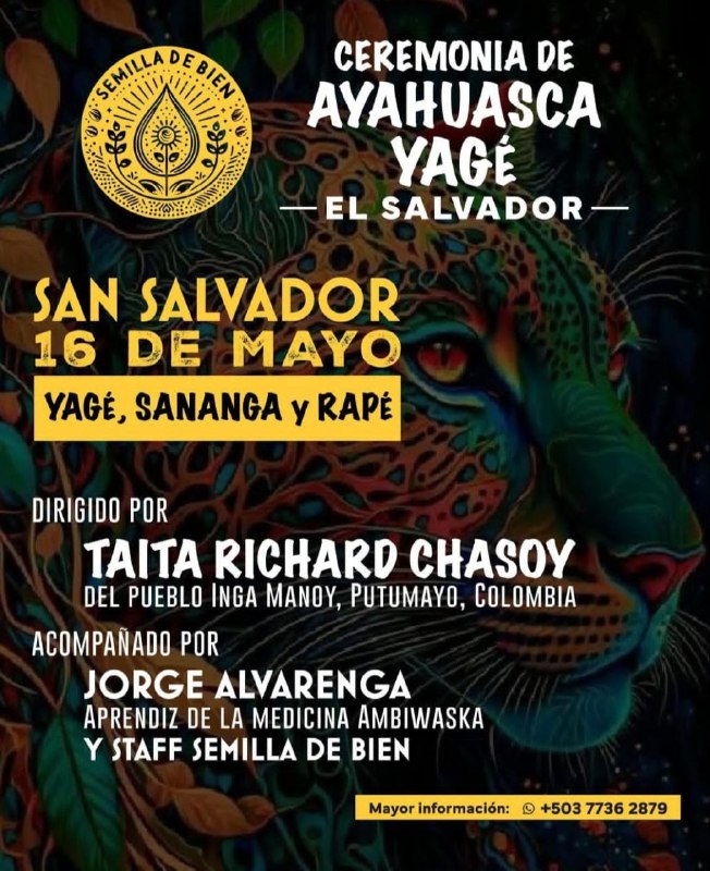 Ceremonia de Ayahuasca en El Salvador